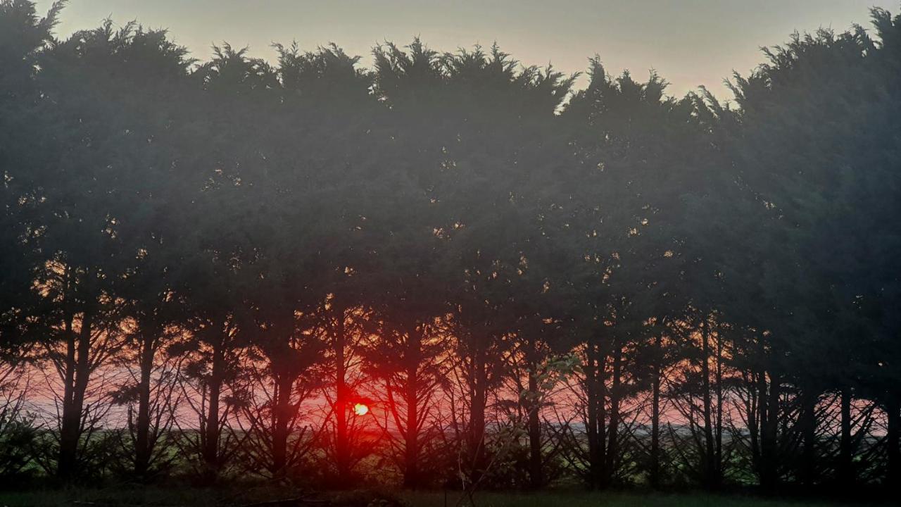 Landes-le-Gaulois Bois De Craneヴィラ エクステリア 写真